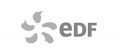 logo-EDF2
